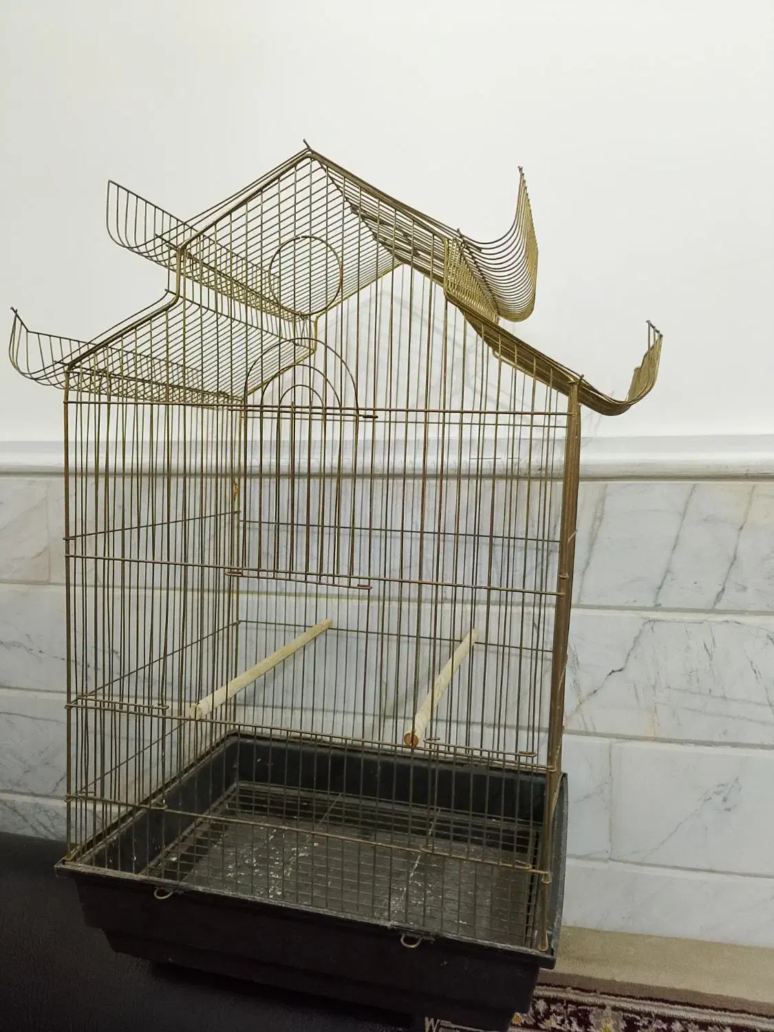 قفس پرنده|لوازم جانبی حیوانات|قم, شاه ابراهیم|دیوار