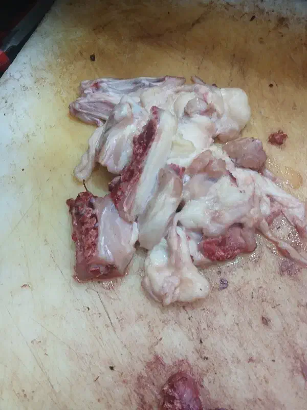 ضایئات مرغ برای سگ و گربه|لوازم جانبی حیوانات|برازجان, |دیوار