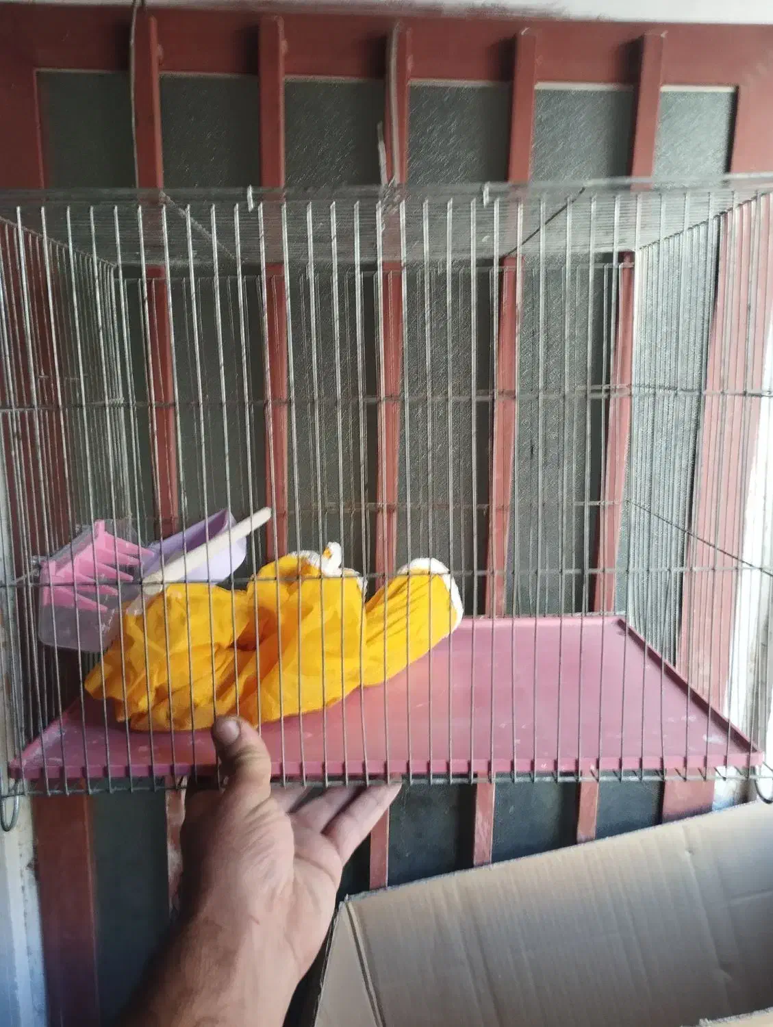 قفس پرنده|لوازم جانبی حیوانات|فولادشهر, مسکن مهر فولادشهر|دیوار