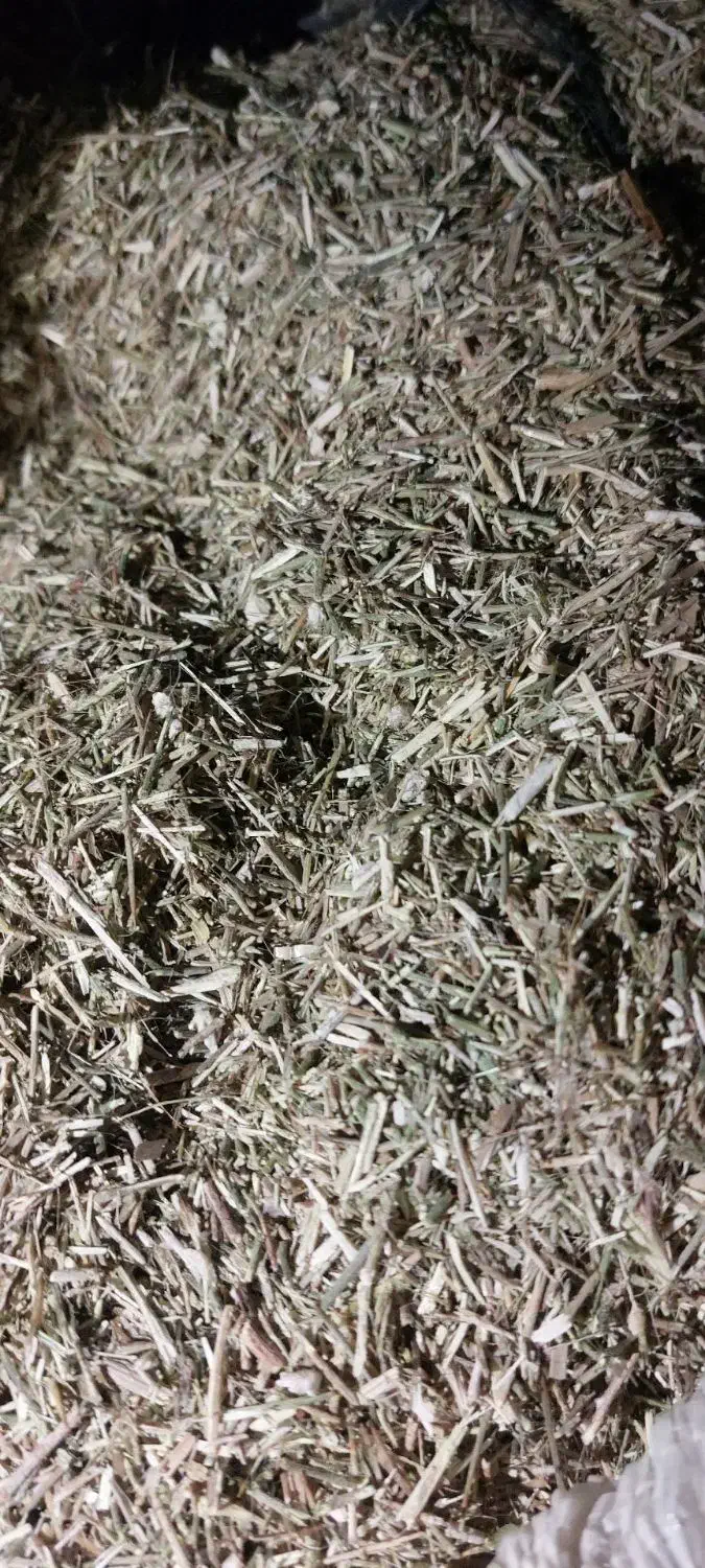 خارشتر|عمدهفروشی|گنبد کاووس, |دیوار