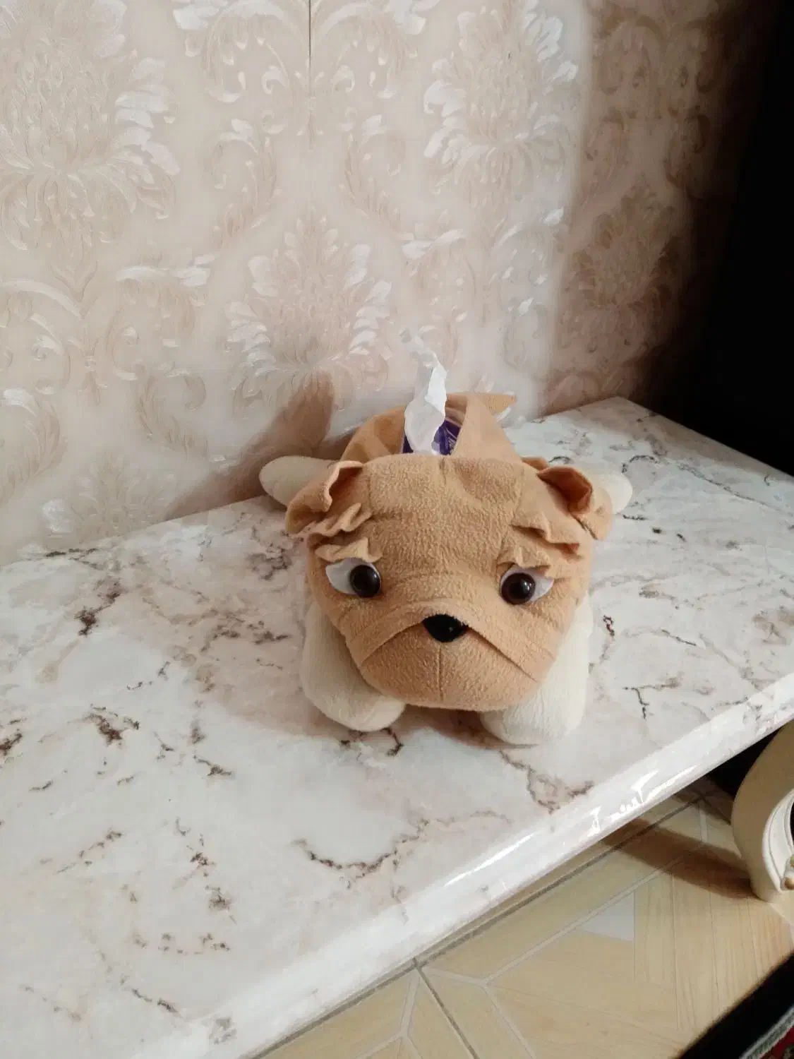 جا دستمال کاغذی|مواد شوینده و دستمال کاغذی|مشهد, نوید|دیوار