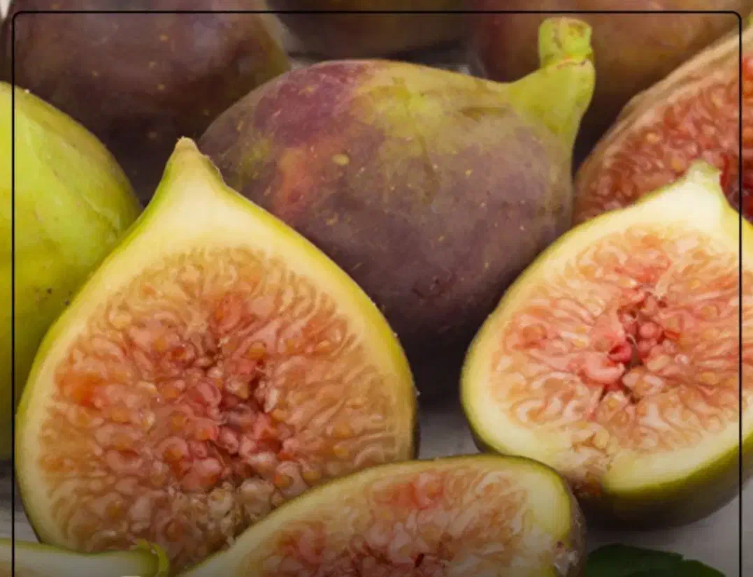 صنوبر اصل|خدمات باغبانی و درختکاری|کاشان, عربها|دیوار