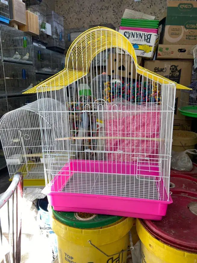 انواع قفس و ملزومات پرندگان|لوازم جانبی حیوانات|میاندوآب, |دیوار