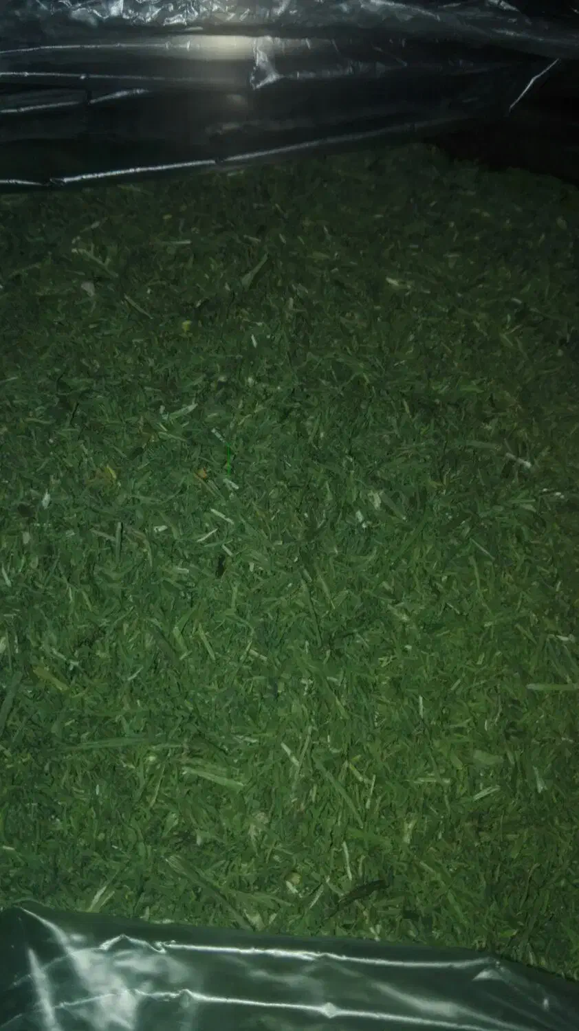 فروش سبزی خشک|خوردنی و آشامیدنی|نهاوند, |دیوار