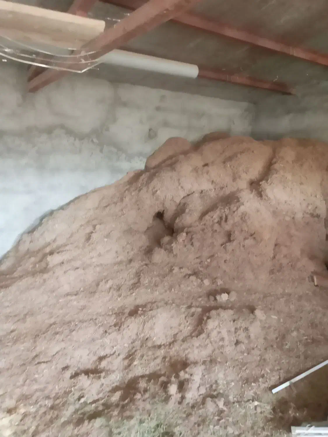 کاه نیشکر،باگاس|حیوانات مزرعه|مشهد, امین آباد|دیوار