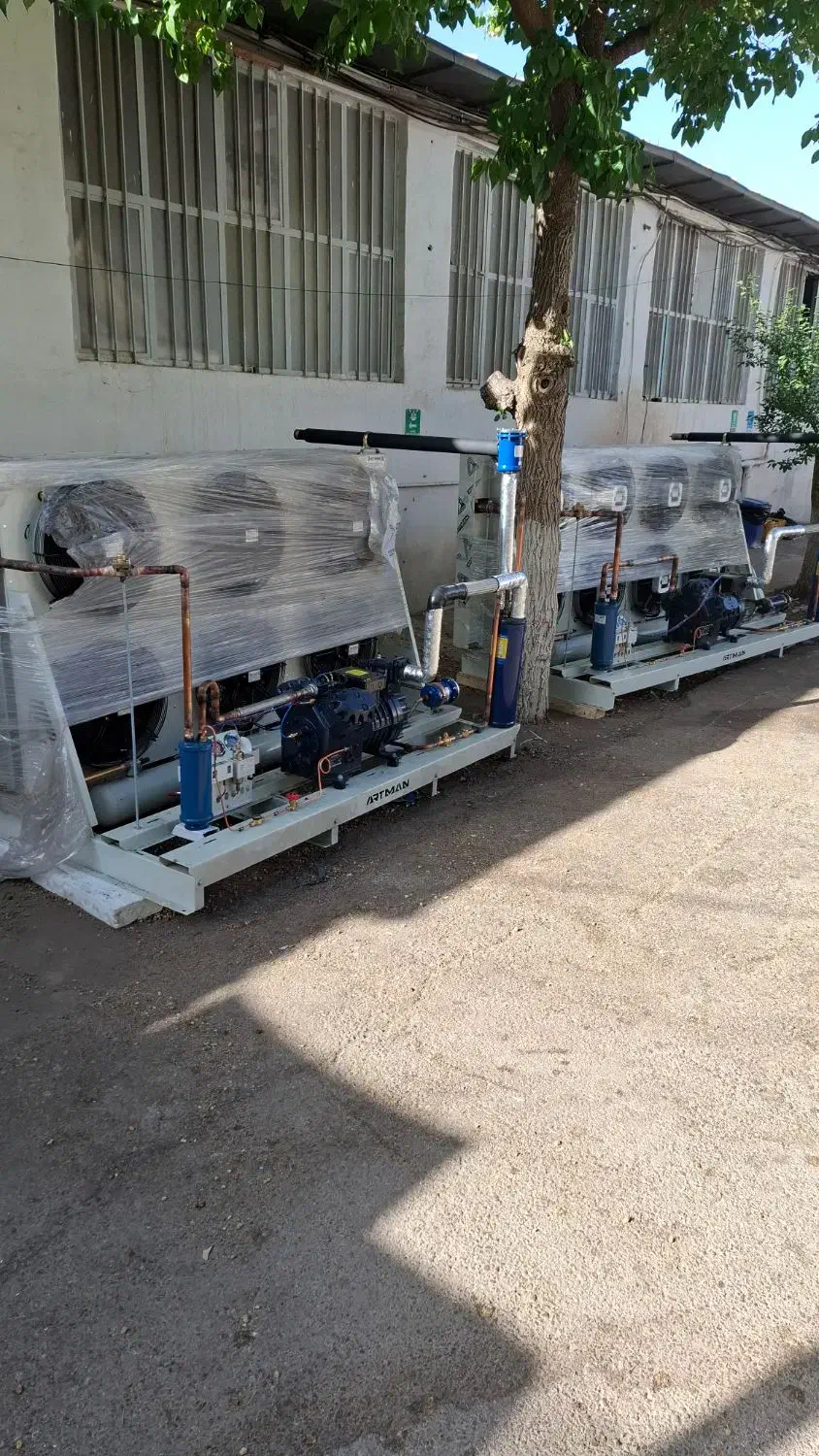 سردخانه|خدمات پیشه و مهارت|شیراز, تاچارا|دیوار