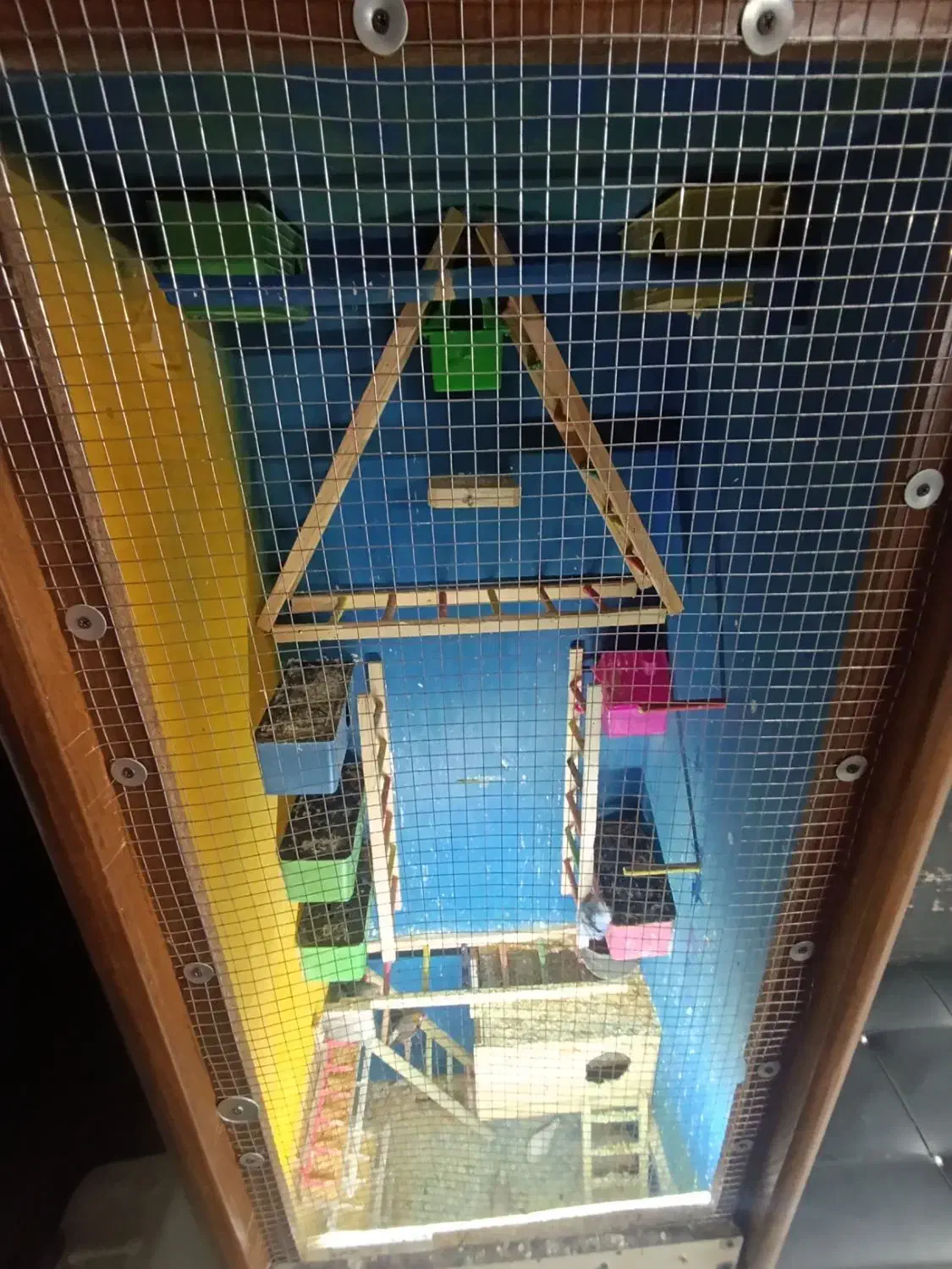 قفس چوبی دست ساز|لوازم جانبی حیوانات|مشکیندشت, |دیوار