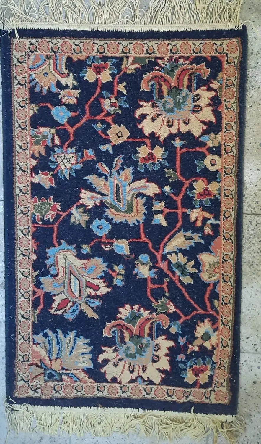 پادری|پادری|کرج, دولت‌آباد|دیوار