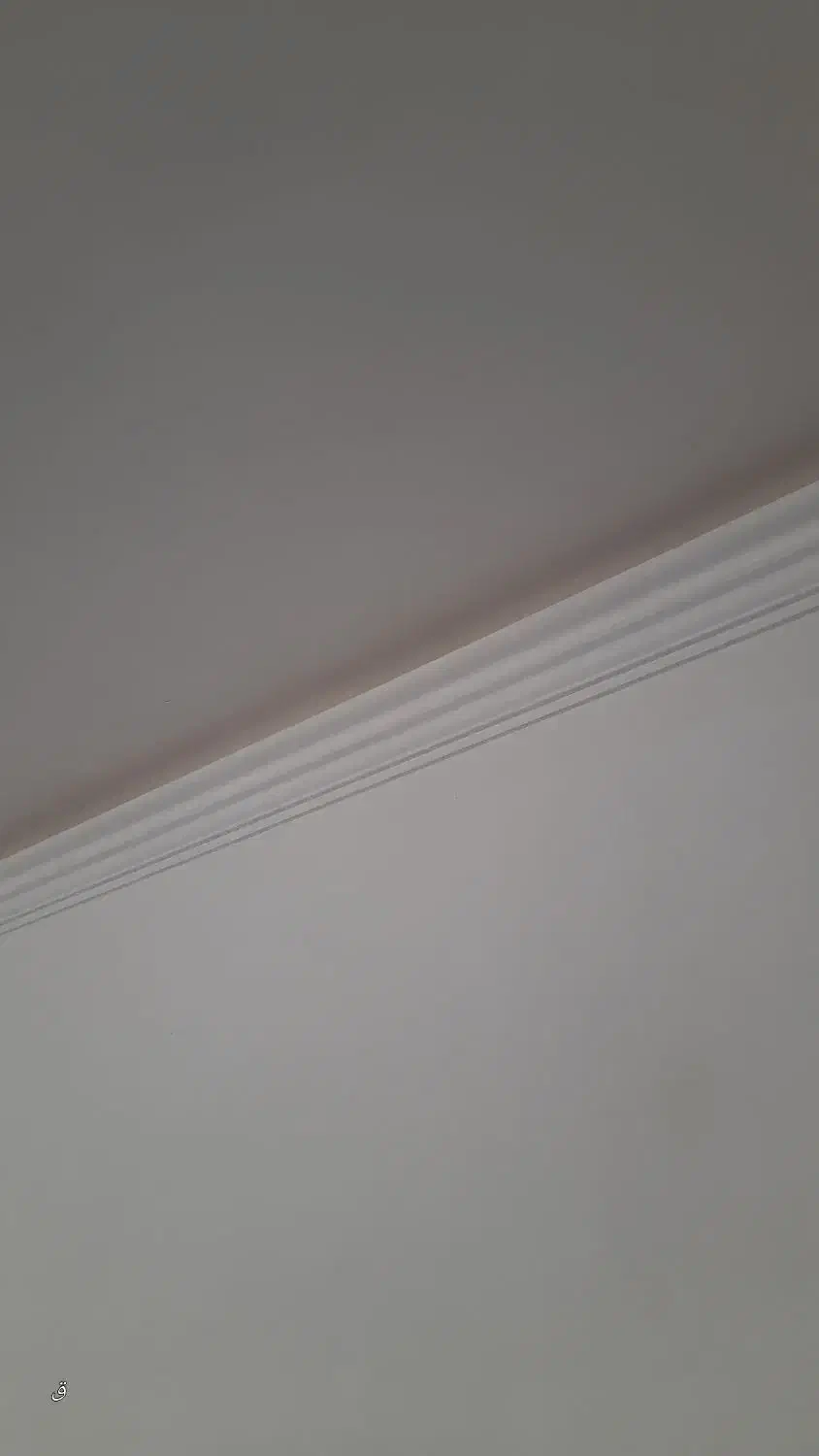 بنا تیغه چینی.سفید|خدمات پیشه و مهارت|کوهدشت, |دیوار