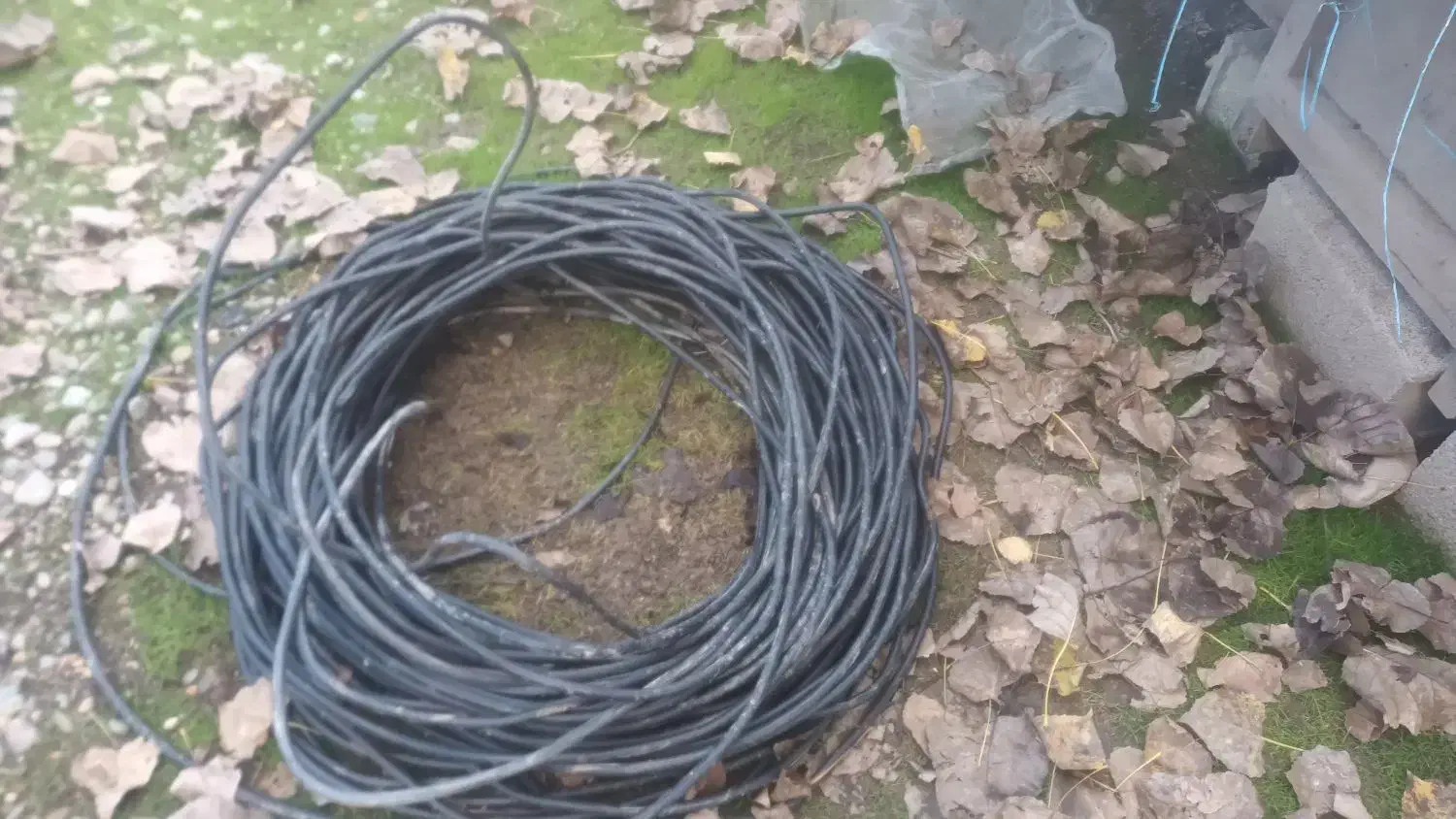 کابل ۲در۶ مفتولی|مصالح و تجهیزات ساختمان|اسالم, |دیوار