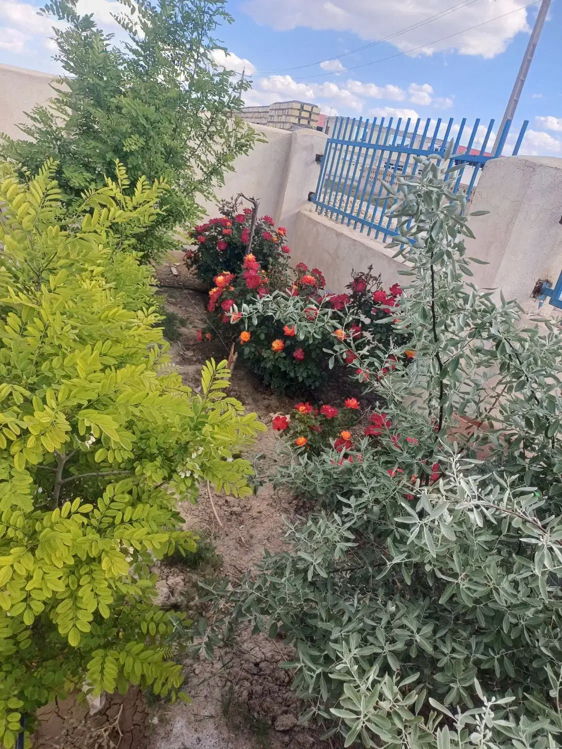 فروش سه یا شش دانگ واحد صنعتی|فروش دفتر صنعتی، کشاورزی، تجاری|کبودرآهنگ, |دیوار