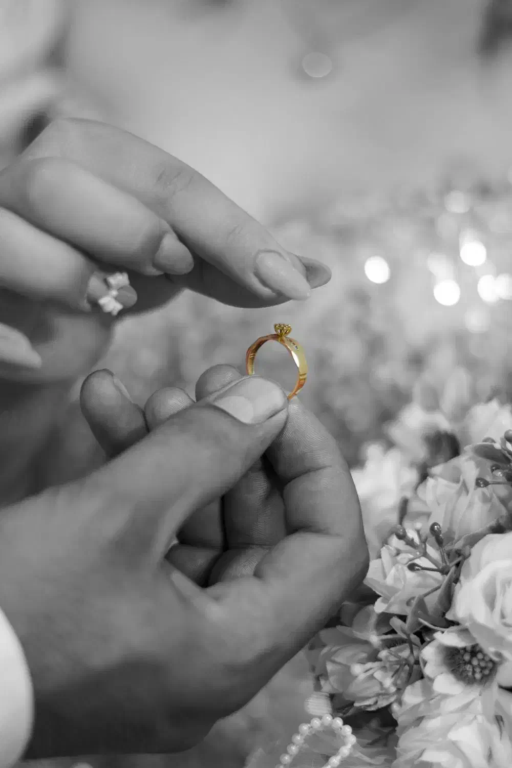 استودیو عکس و فیلم|خدمات پذیرایی، مراسم|نیشابور, دارایی|دیوار