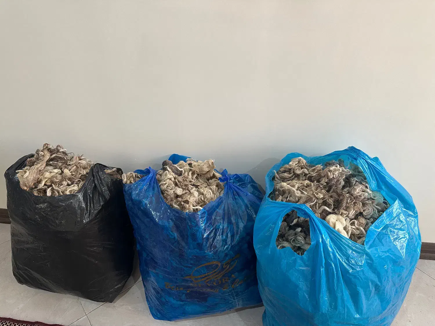 پشم گوسفند|رختخواب، بالش، پتو|تهران, منیریه|دیوار