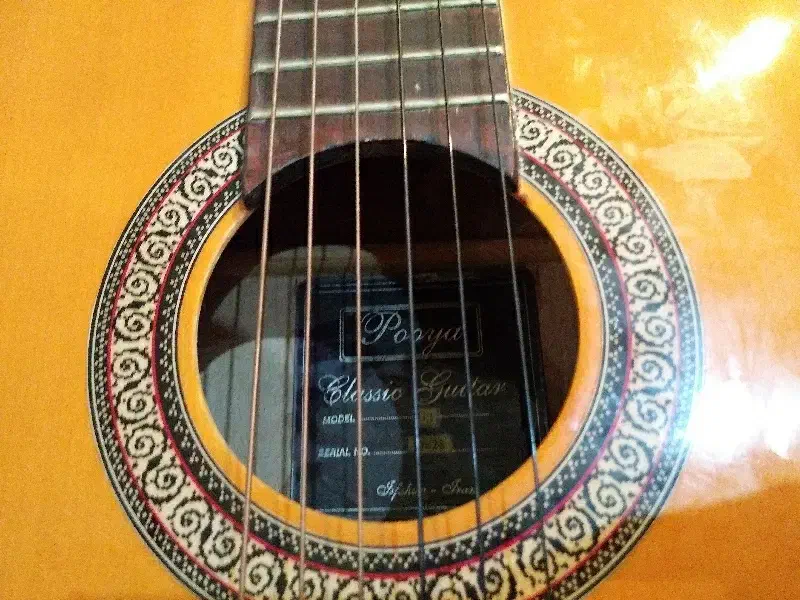 گیتار پویا سفارشی ساخت|گیتار، بیس، امپلیفایر|اصفهان, تخت فولاد|دیوار