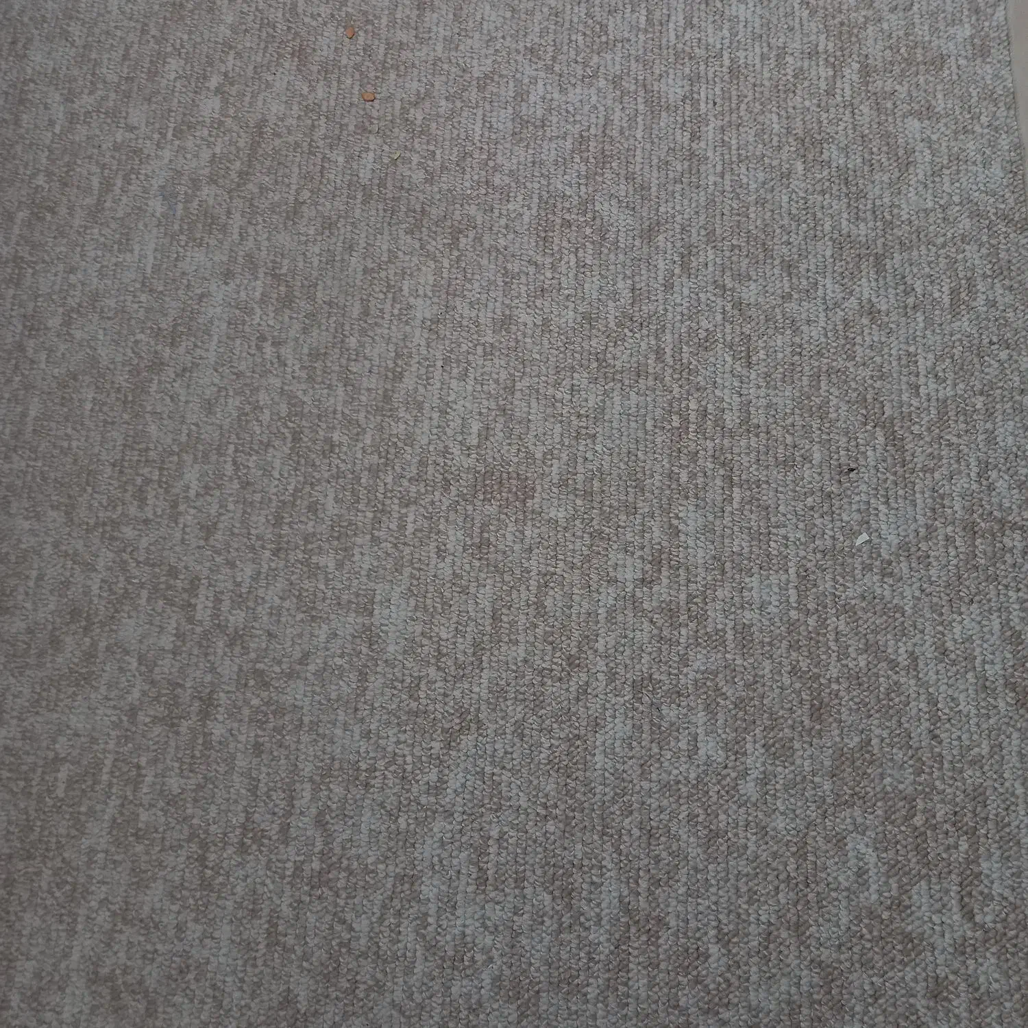 موکت پالاز طرح پامچال|موکت|شاهرود, |دیوار