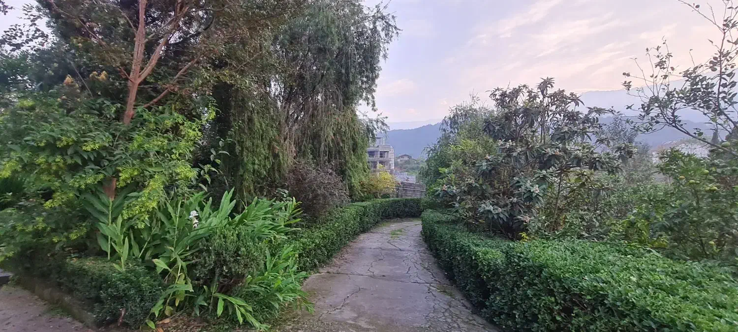 فروش ویلاباغ|فروش خانه و ویلا|نشتارود, |دیوار