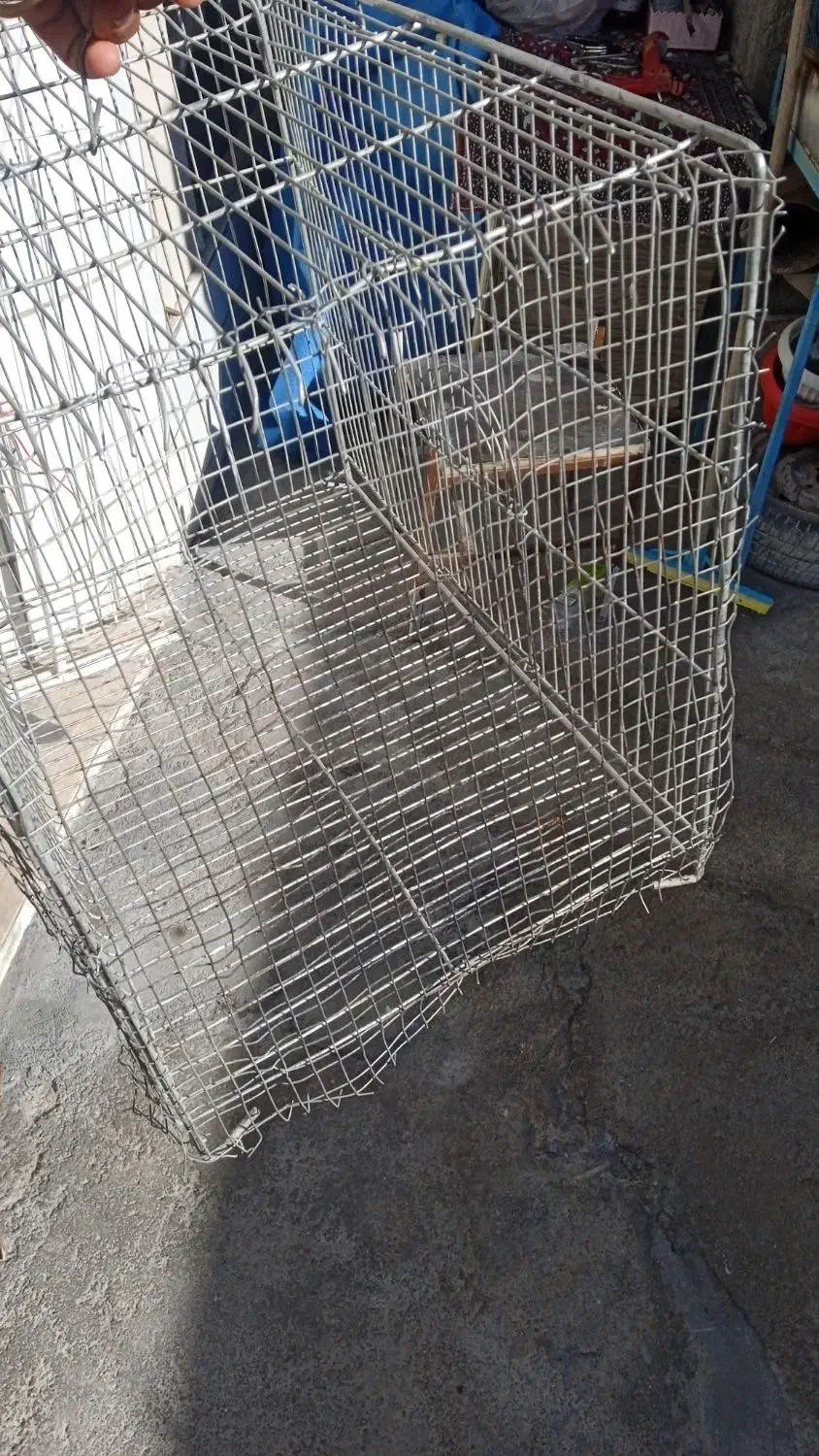 قفس|لوازم جانبی حیوانات|شهرکرد, |دیوار