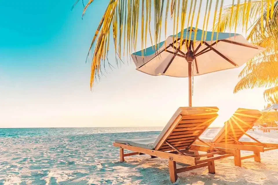 تور کیش|تور و چارتر|شیراز, ملاصدرا|دیوار