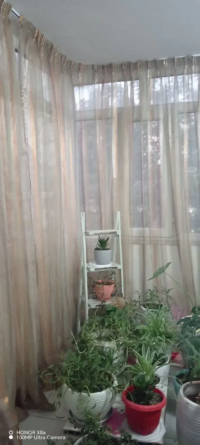 پرده حریر متراژبالا رنگ کرم نباتی|پرده، رانر، رومیزی|کرج, گوهردشت|دیوار