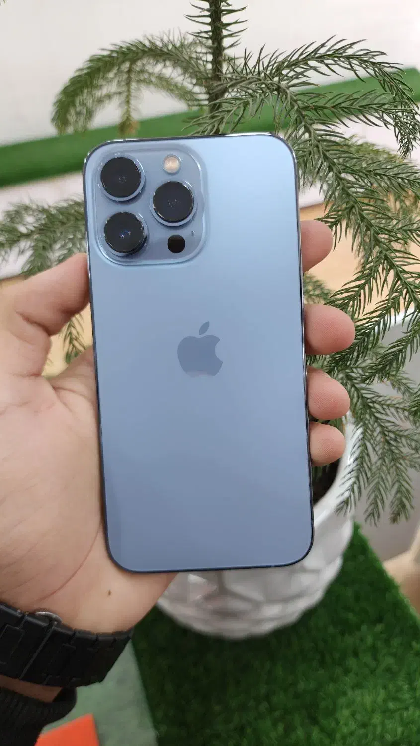 iPhone 13pro درحد خشک|موبایل|زاهدان, |دیوار