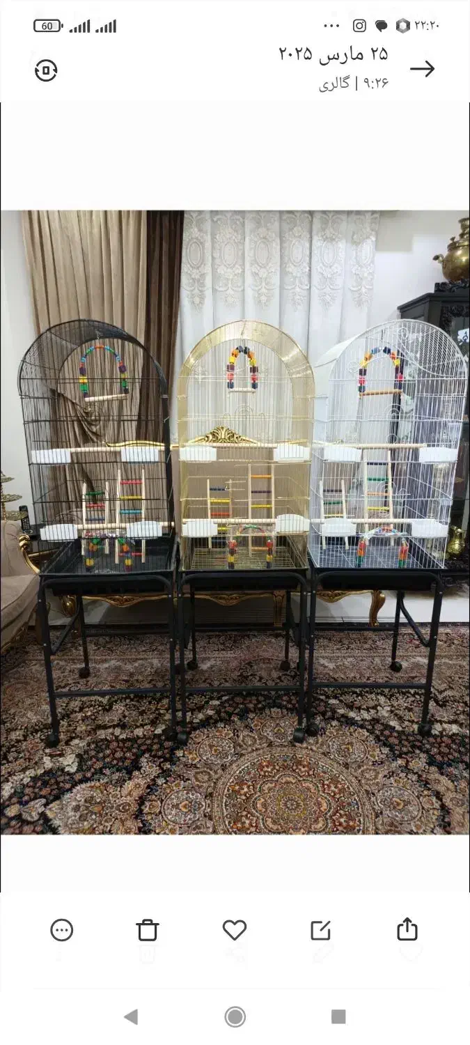 قفس ۱۰۳۳ پرنده عروس هلندی طوطی برزیلی گرینچیک راهب|لوازم جانبی حیوانات|تهران, جیحون|دیوار