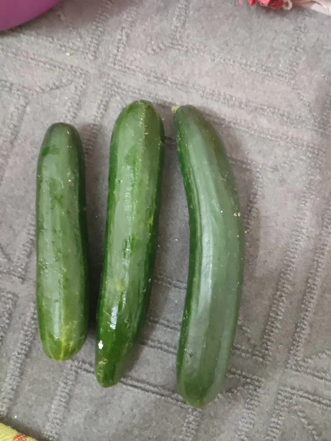 خیار گلخانه ای|خوردنی و آشامیدنی|مشهد, الهیه|دیوار