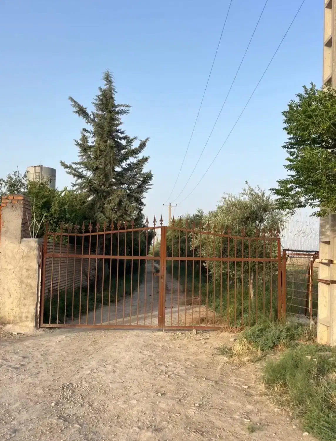 فروش زمین کشاورزی و باغ|فروش دفتر صنعتی، کشاورزی، تجاری|گنبد کاووس, |دیوار