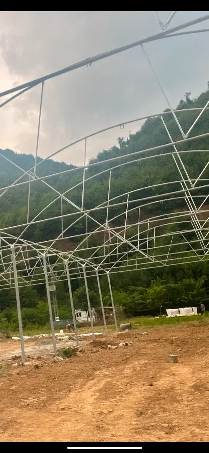 اجاره ۷۰۰ متر گلخانه نوساز امام زاده هاشم رشت|اجارهٔ دفتر صنعتی، کشاورزی، تجاری|رستم‌آباد, |دیوار