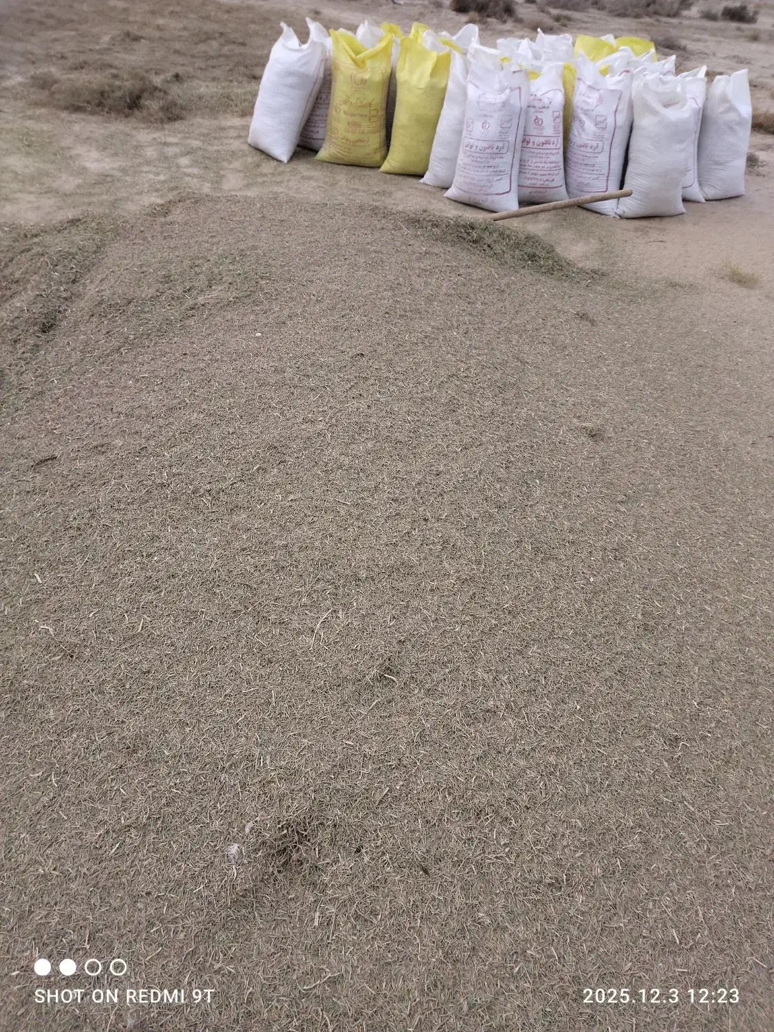 خار|خدمات باغبانی و درختکاری|زابل, |دیوار