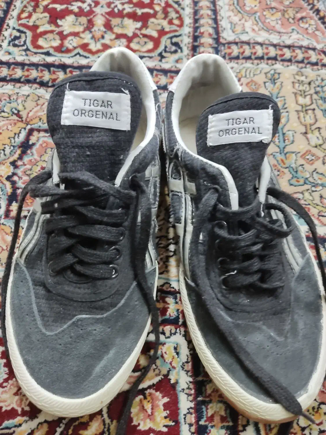 کفش تایگر اورجینال اصل سایز 41|کیف، کفش، کمربند|گنبد کاووس, |دیوار