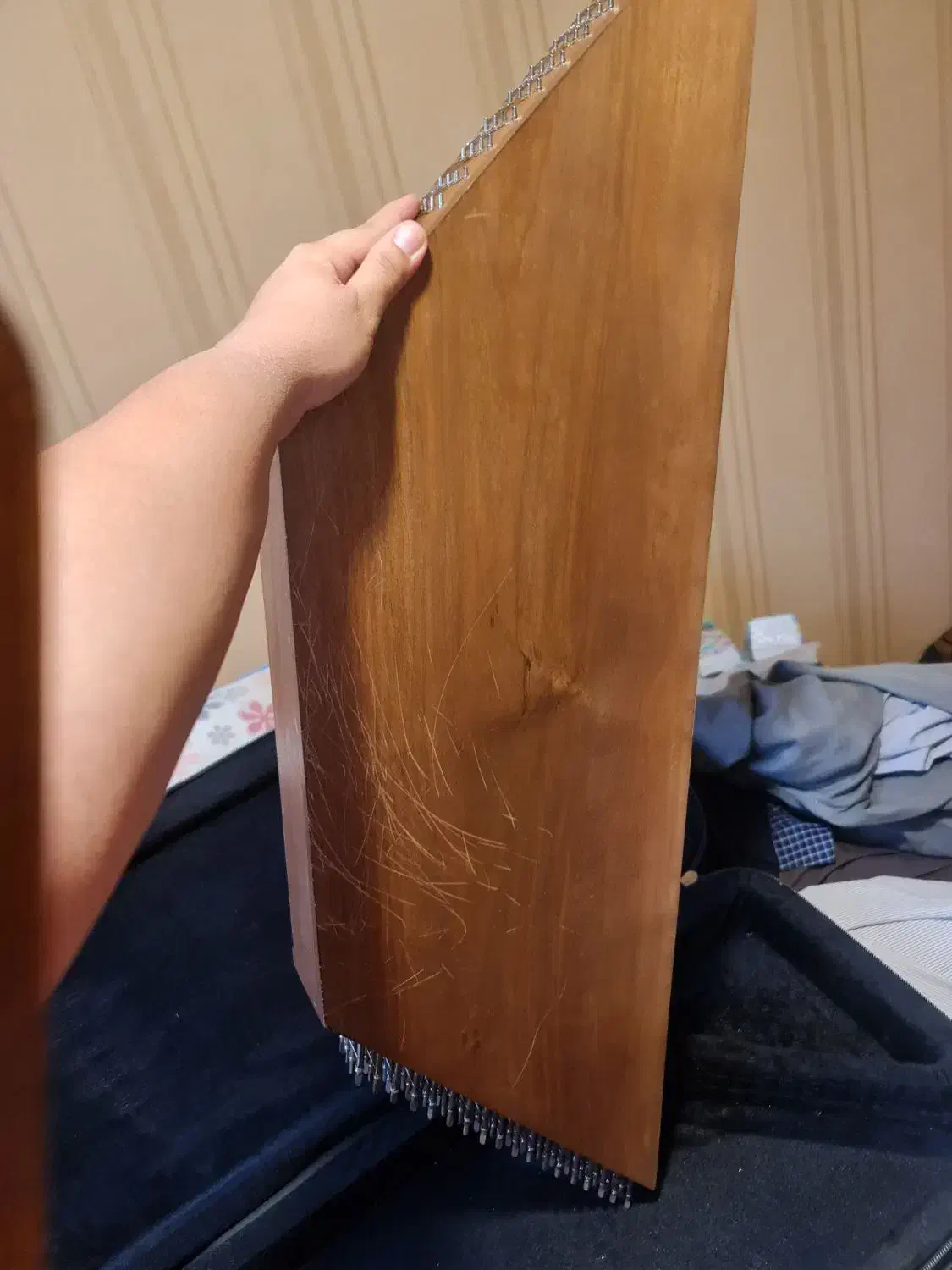 سنتور موسوی|سازهای سنتی|شیراز, فرهنگ شهر|دیوار