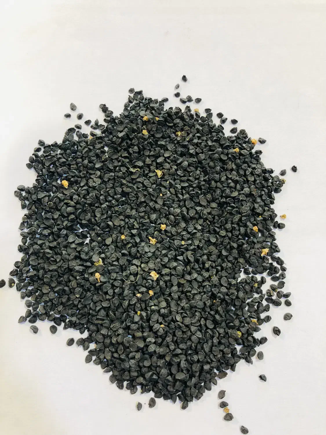 بذر پیاز سفید محلی|عمده‌فروشی|گرگان, |دیوار