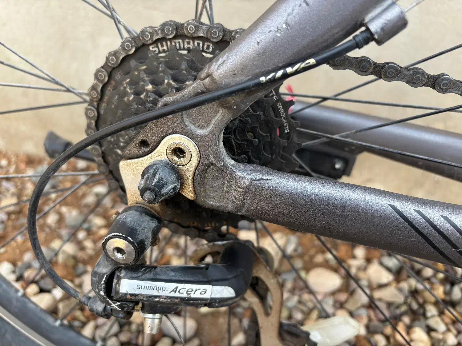 دوچرخه ویوا المنت|دوچرخه، اسکیت، اسکوتر|اسفرورین, |دیوار