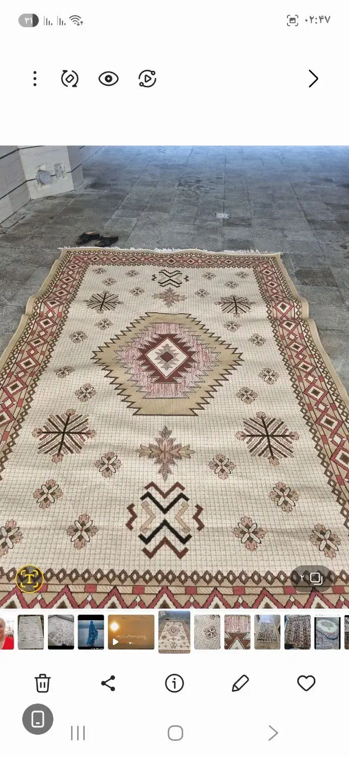 گلیم|گلیم، جاجیم، گبه|قزوین, |دیوار