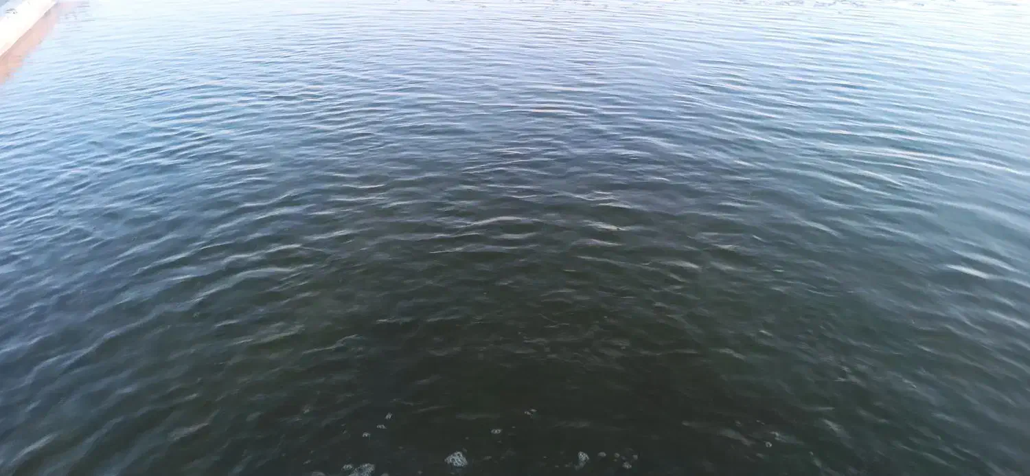 زمین کشاورزی.|فروش دفتر صنعتی، کشاورزی، تجاری|هریس, |دیوار