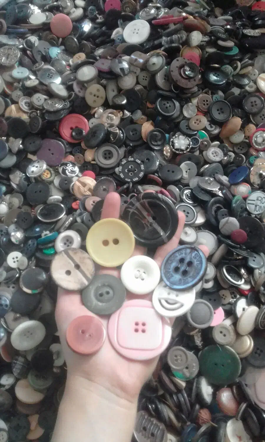 دکمه های رنگارنگ ویک رنگ|لوازم خیاطی و بافتنی|زرندیه, |دیوار