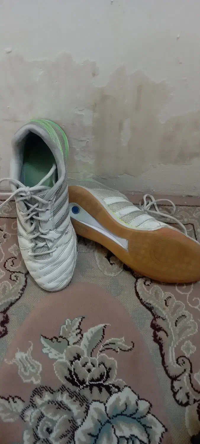 کتونی فوتسال تاپ سالا|کیف، کفش، کمربند|قم, صدوق|دیوار