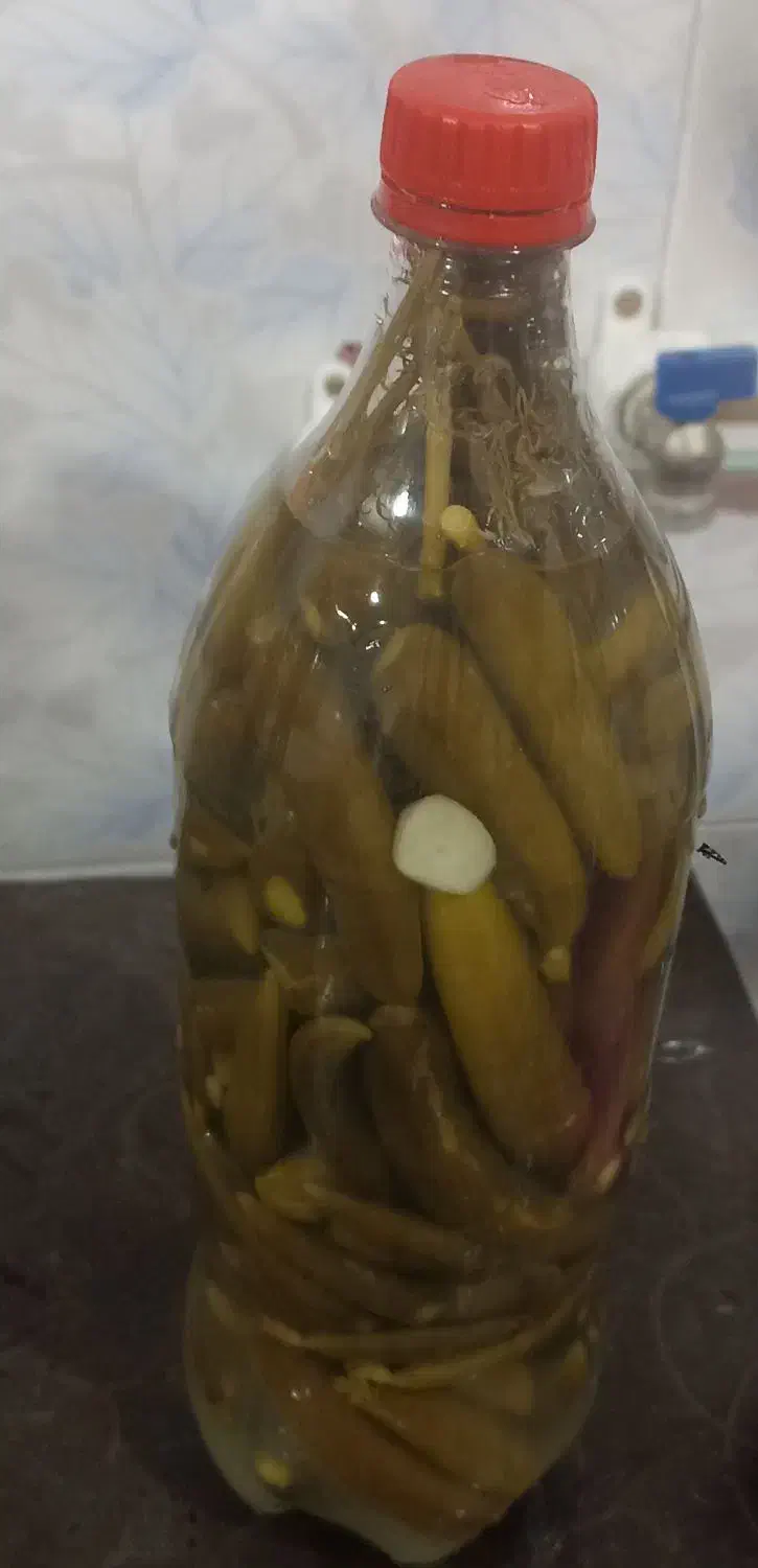 خیار شور ترد و خوشمزه|خوردنی و آشامیدنی|شیرینسو, |دیوار