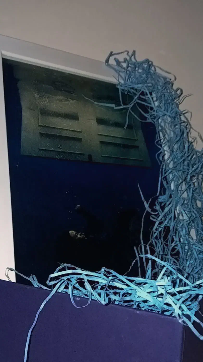 تابلو بیلی ایلیش|تابلو، نقاشی، عکس|گرگان, |دیوار