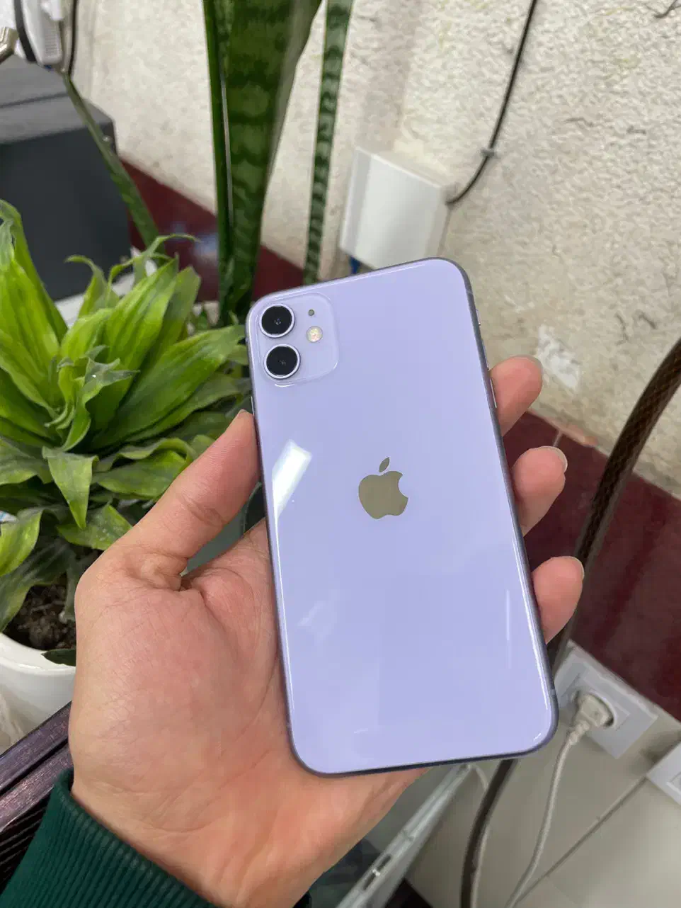 iPhone 11|موبایل|گرگان, |دیوار