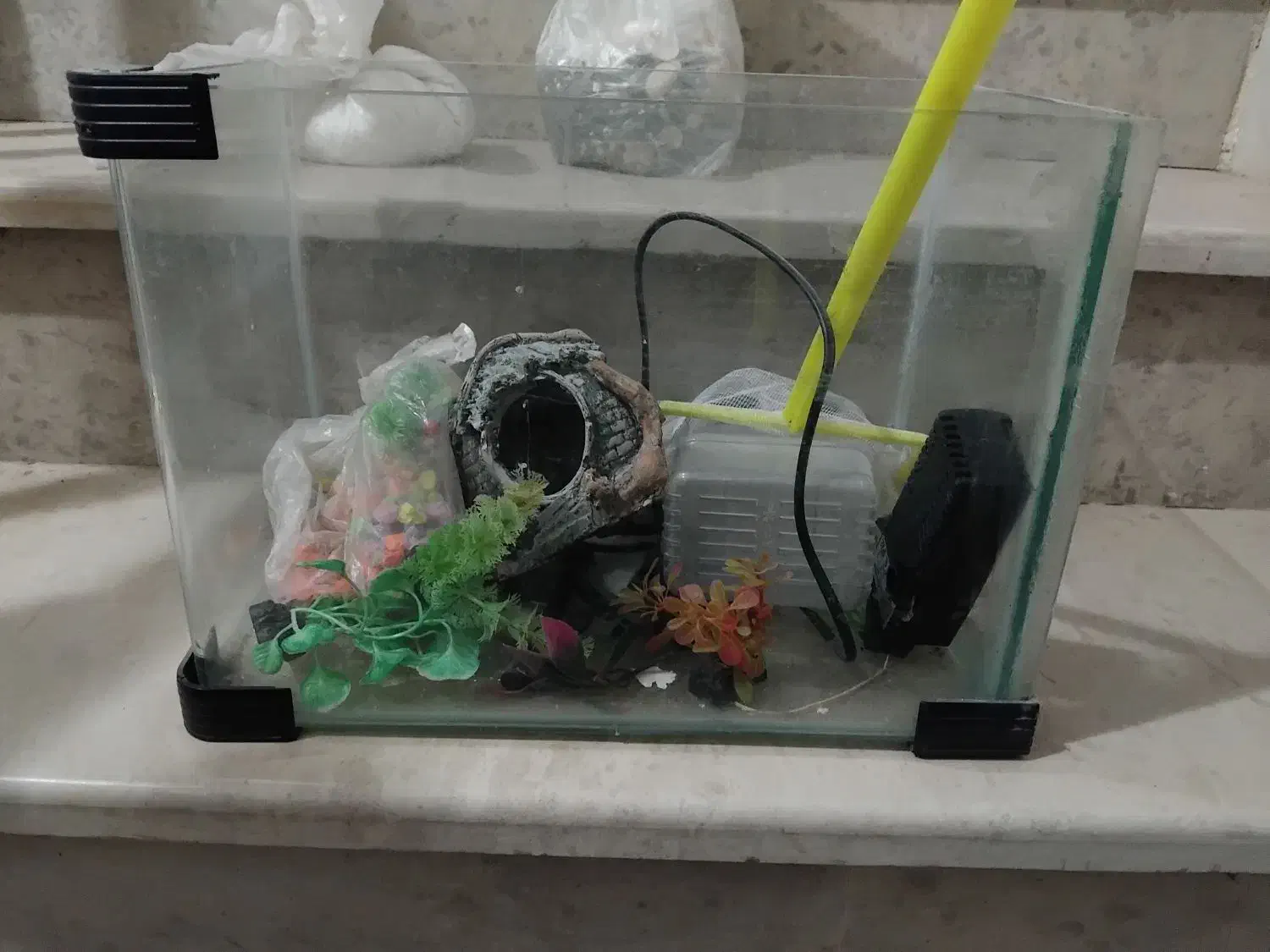 آکواریم مفت|ماهی|گلبهار, شهر جدید گلبهار|دیوار