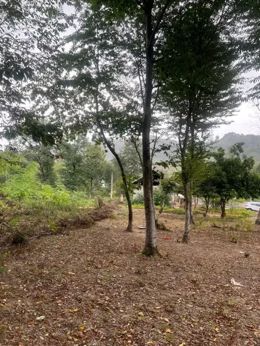 زمین مسکونی روبروی تالاب سوختکوه|فروش زمین و ملک کلنگی|لاهیجان, شیخ زاهد|دیوار