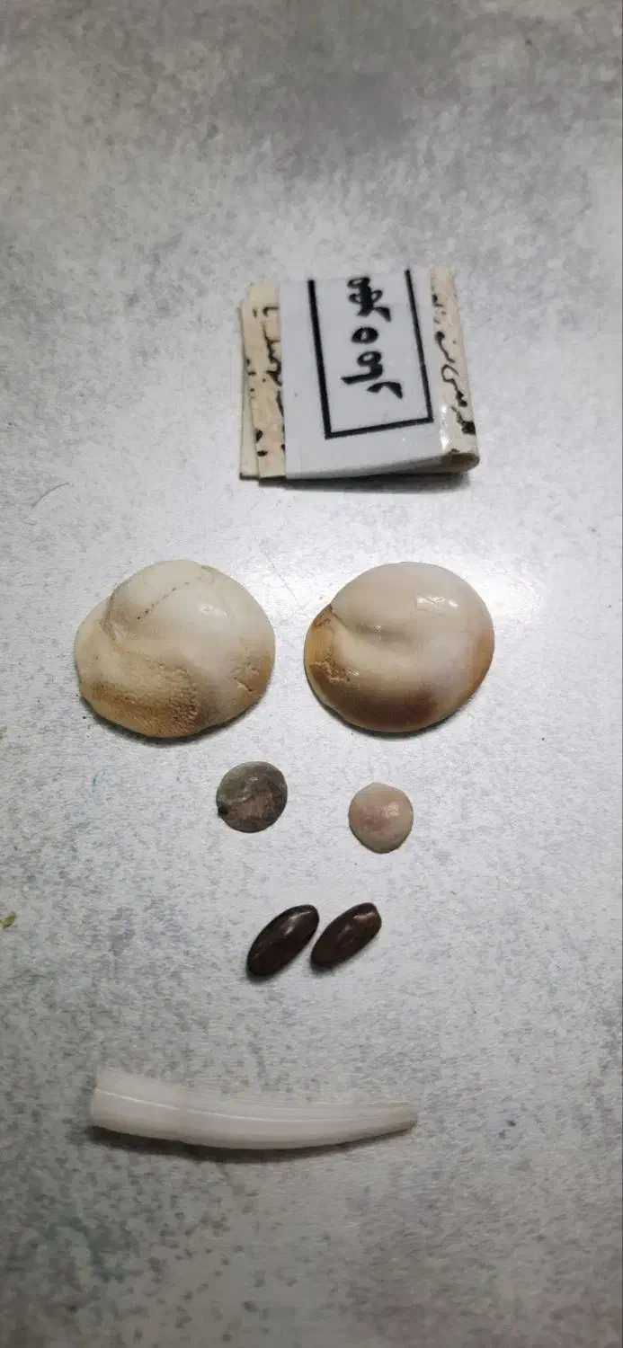 تاروت قهوه|خدمات پذیرایی، مراسم|بجنورد, |دیوار