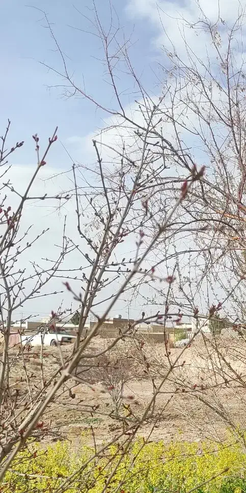 زمین|فروش زمین و ملک کلنگی|حبیب آباد, |دیوار