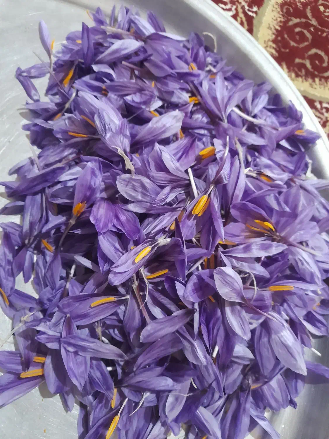 زعفران|عمدهفروشی|مینودشت, |دیوار