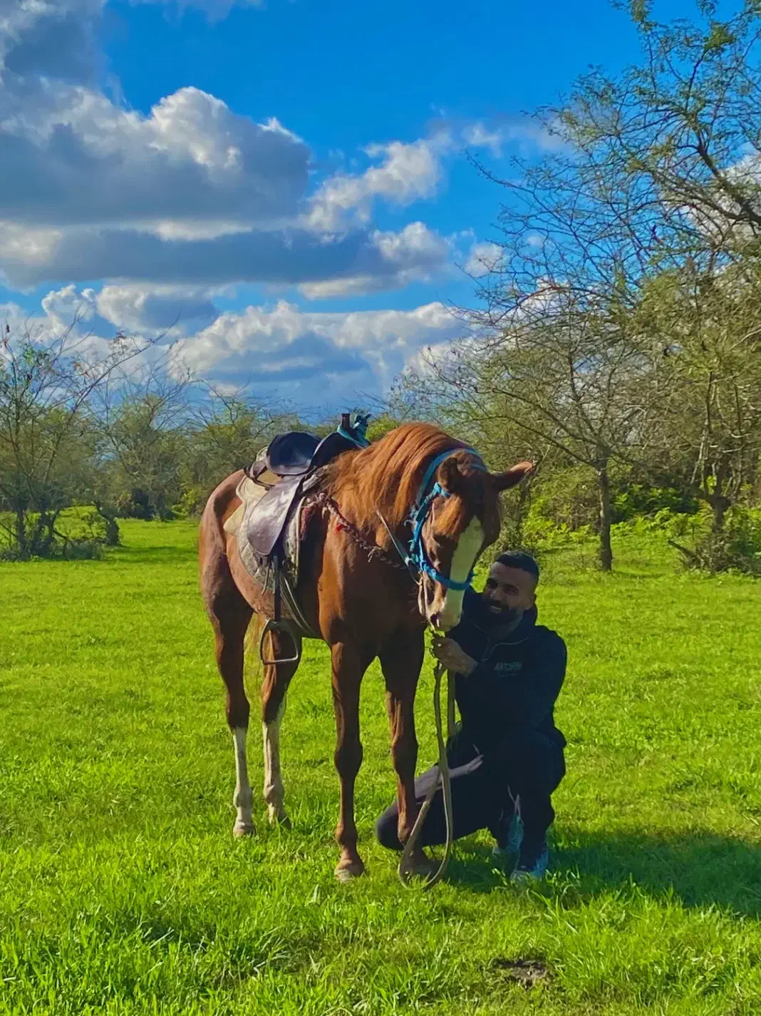 اسب کرد پنج ساله|اسب و تجهیزات اسبسواری|پیربازار, |دیوار