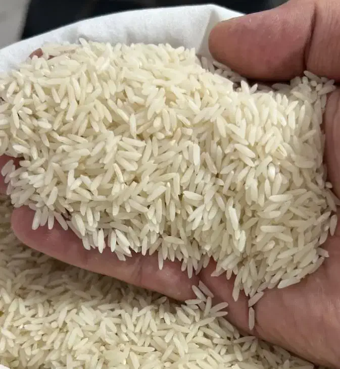 برنج هاشمی سورت شده درجه یک ۱۴۰۴|خوردنی و آشامیدنی|لاهیجان, امیرشهید|دیوار
