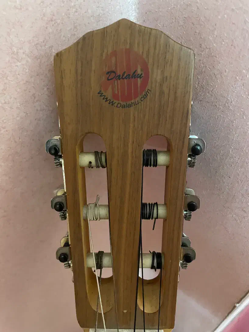 گیتار کلاسیک دالاهو|گیتار، بیس، امپلیفایر|اردبیل, |دیوار