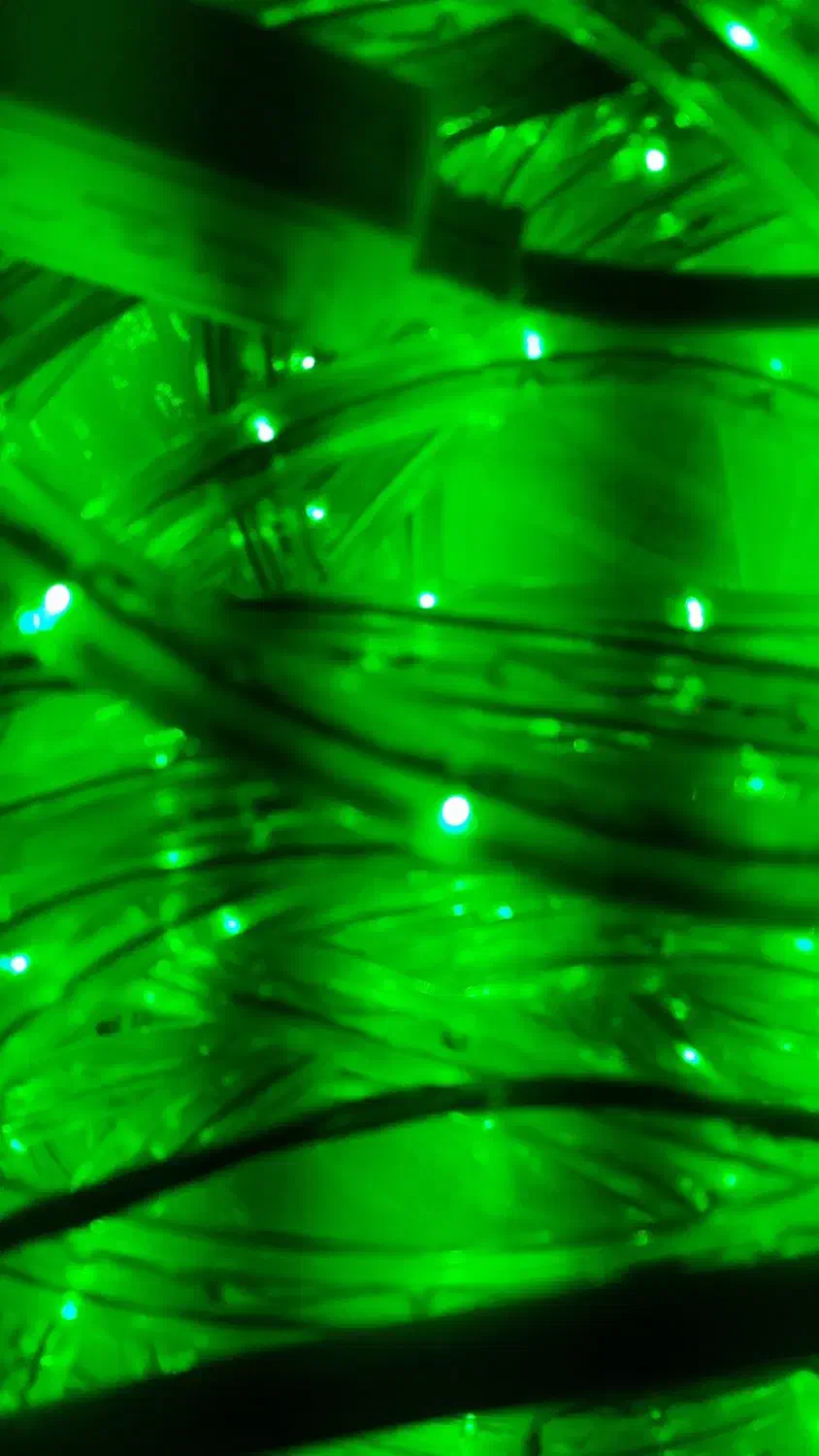 لامپ ریسه ای|ریسه و چراغ تزئینی|ارومیه, |دیوار