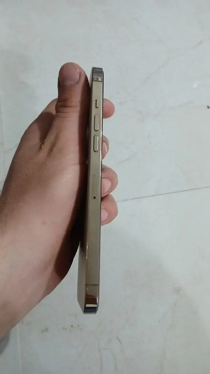 گوشی موبایل آیفون ۱۲پرومکس|موبایل|مشگین شهر, |دیوار